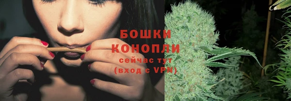 сатива Краснослободск