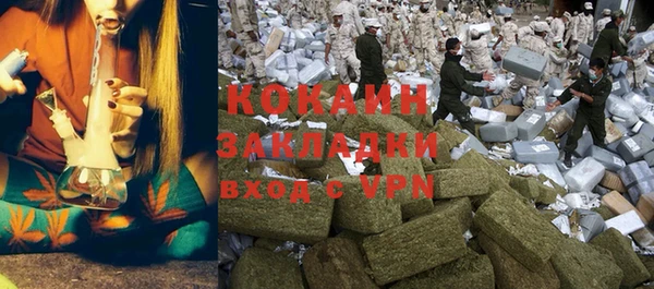 сатива Калининец