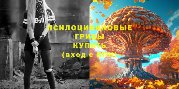 сатива Краснослободск